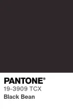 PANTONE® 19-3909 TCX Black Bean
