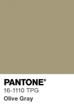 PANTONE® 16-1110 TPG Olive Gray