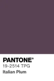PANTONE® 19-2514 TPG Italian Plum