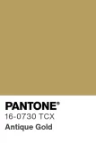 PANTONE® 16-0730 TCX Antique Gold