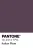 PANTONE® 19-2514 TPG Italian Plum