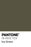 PANTONE® 19-0512 TCX Ivy Green