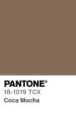 PANTONE® 18-1019 TCX Coca Mocha