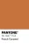 PANTONE® 16-1347 TCX Peach Caramel